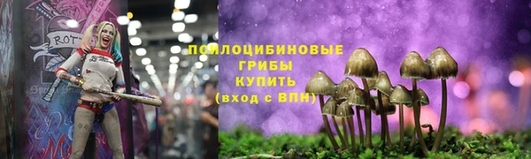 прущая мука Абдулино
