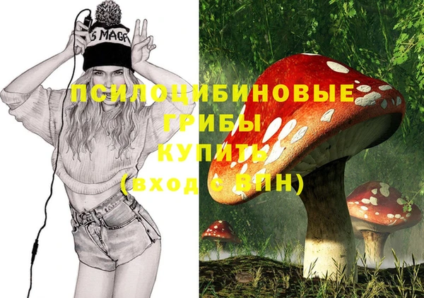 дурь Алексин