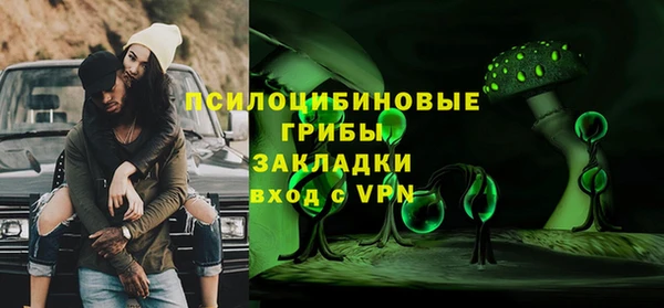 дурь Алексин
